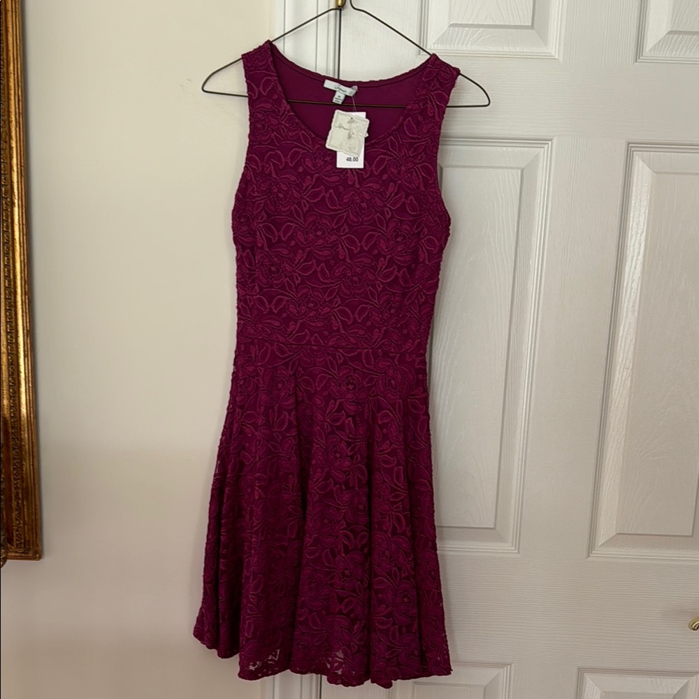 Elegant Burgundy Lace Dress